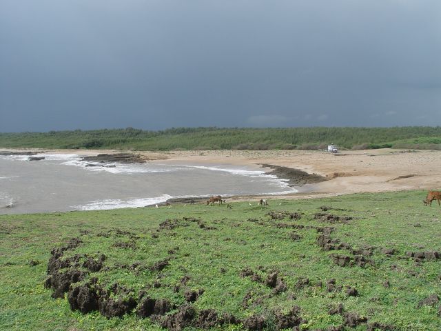 LoGi am Gomptimata-Beach in Diu.